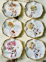 Set Of (6) French Salad Plates