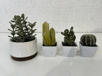 4 Cute Fake Succulents, 6 Tiny Inspiring Magnets
