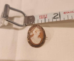 Vintage Cameo Pin
