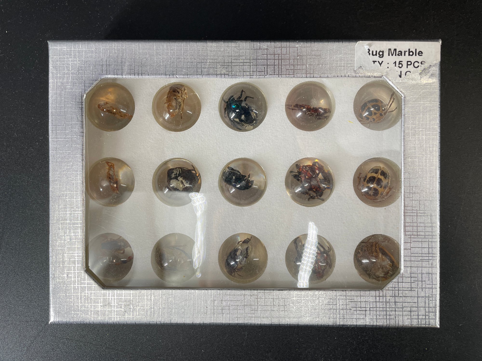 Travel Bug Marble Collection Of Bug Marbles #159905 | Auctionninja.com