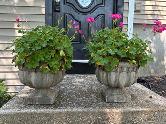Pair Of Concrete Urns W/ Flowers