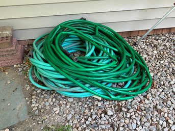Large Garden Hose Lot