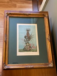 Framed Print 'Holothurians And The Sea Star'