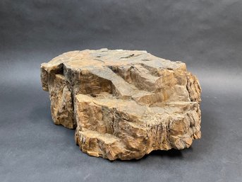HUGE Petrified Wood Specimen