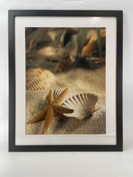 Framed Nautical Print