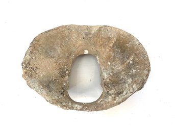 Antique Fossilized Whale Vertebra Atlas