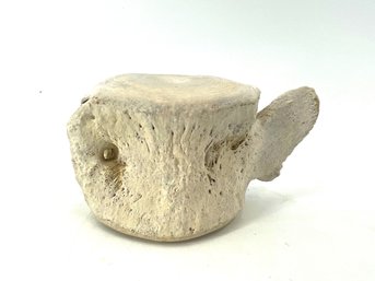 Antique Fossilized Whale Vertebra