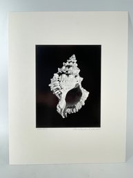 Nicely Matted Unframed Photography Titled Campas - Signed Charles Fendrock