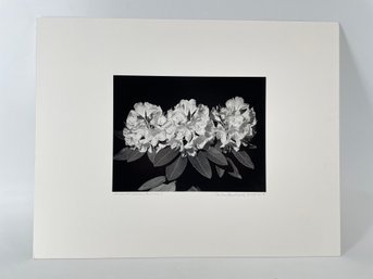 Nicely Matted Unframed Photography Titled Rodendendron Blossoms - Signed Charles Fendrock
