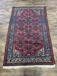 Handwoven Persian-style Rug 43' X 72' (D)