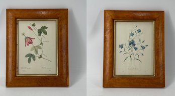 P J Redoute Botanical Prints - Passiflora Racemosa & Campanule Clochette