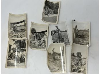 Vintage Photo Lot
