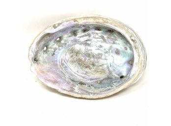Abalone Shell