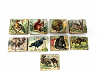 Antique Picture Blocks
