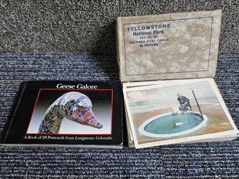 J98 - Geese Galore And Yellowstone Postcards Lot