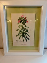 H20 Framed Flower Picture 15x19