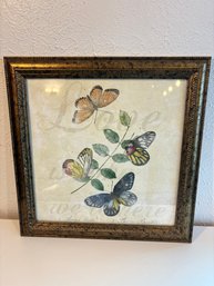 H21 Framed Butterfly Picture 15x19'