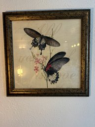 H48 Framed Butterfly Print 15'
