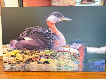 H63 Duck Print 29x45'