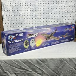 NIB Phase 3 P-40 Warhawk RC Airplane
