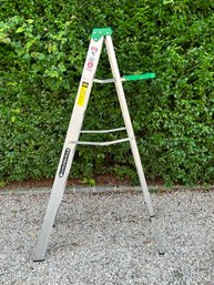 6 Foot Louisville Ladder