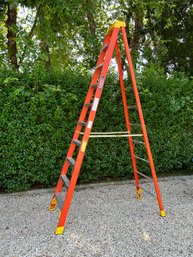 10 Ft Werner Ladder