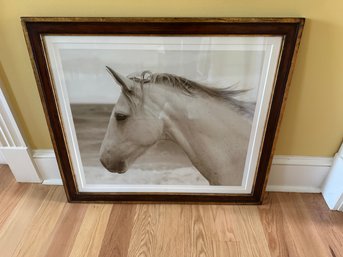 Framed Horse Print