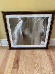 Framed Horse Print