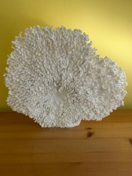 Large Piece Of Faux White Coral