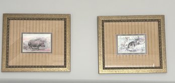 Rhino And Lion Framed Prints