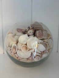 Bowl Of Shells