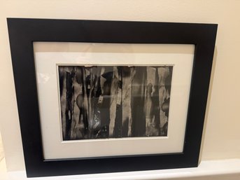 Black And White Framed Print