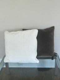 Two Restoration Hardware Throw Pillows