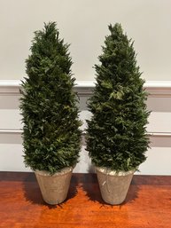 Two Faux Plants In Urns