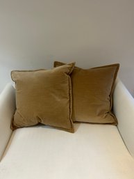 Pair Of Restoration Hardware Throw Pillows