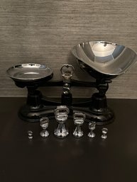 Salter Kitchen Balance Scale
