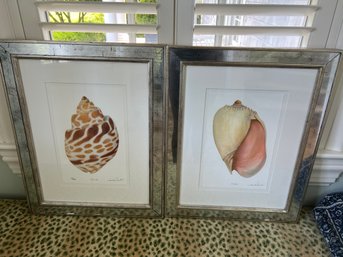 Pair Of Seashell Lithograph Signed Prints With Silver Gilded Frames