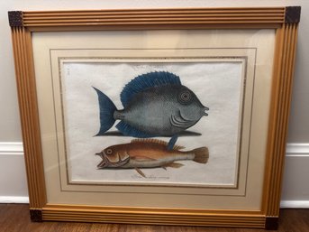 Vintage Framed Fish Print