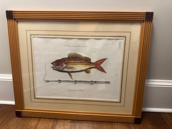 Vintage Framed Fish Print