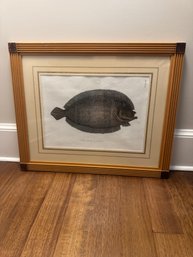 Vintage Framed Fish Print