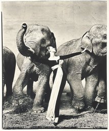 Large Richard Avedon Photo Print 'Dovima With Elephants' - 35in X 47in