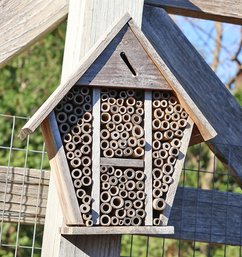 Hanging Bee House