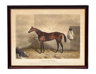 Antique Hand Colored Aquatint Print - Portrait Of The Racehorse Gladiator (1833-1857) - Artist: Harry Hall