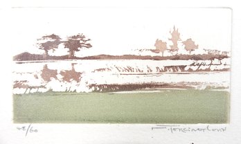 Vintage Aquatint Etching By Nicole Tercinet Levin (b.1934)