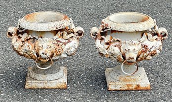 19th C. Pair Of Antique Cast Iron Urns / Planters With Lions Heads And Floral Accents