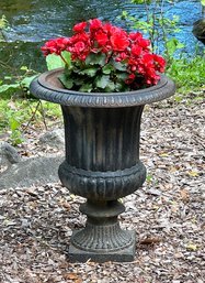 Cast Iron Urn Planter