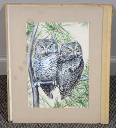 Original Gouache And Watercolor Painting Of 2 Owls