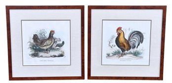 Pair Of Raimundo Petraroja (1863 - 1900) Hen & Rooster Framed Prints