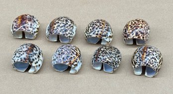 Set Of 8 Tiger Cowrie Shell Napkin Rings