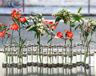 Tse & Tse Paris Classic April Vase - Glass Tubes & Galvanized Steel ($300)